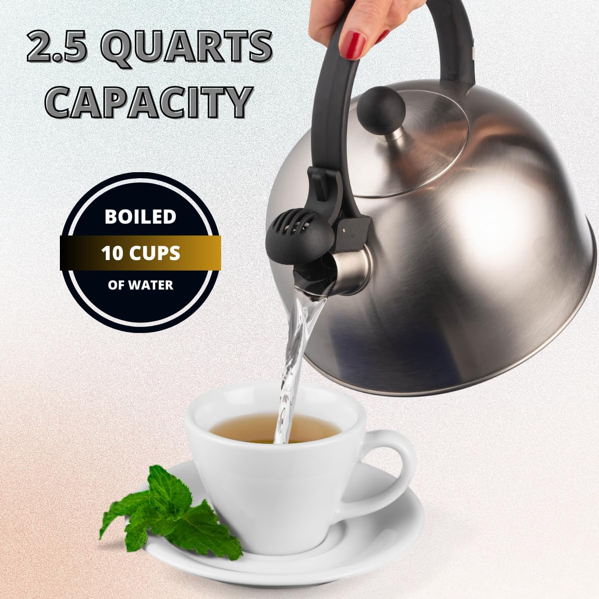 Venoly 2.5 Liter Whistling Tea Kettle