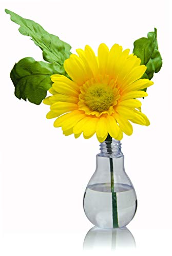 Fillable Light Bulb Containers, 36 Pack - Venoly Home Collectives Default Title