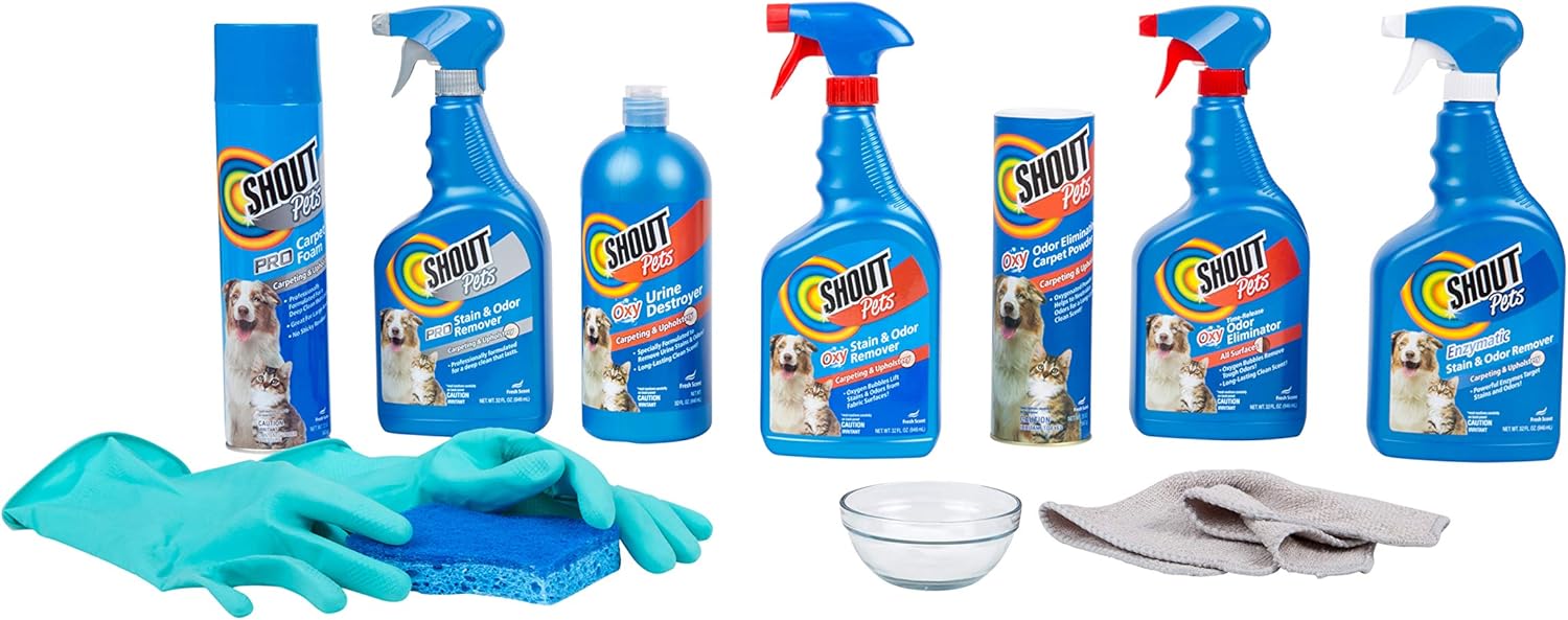 Shout for Pets Stains Pro Stain Lifting Foam, 22 oz